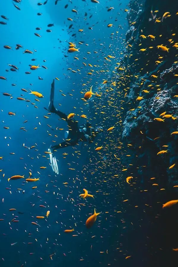 Dpm Koh Tao Diving Hotel & Bar Penzion