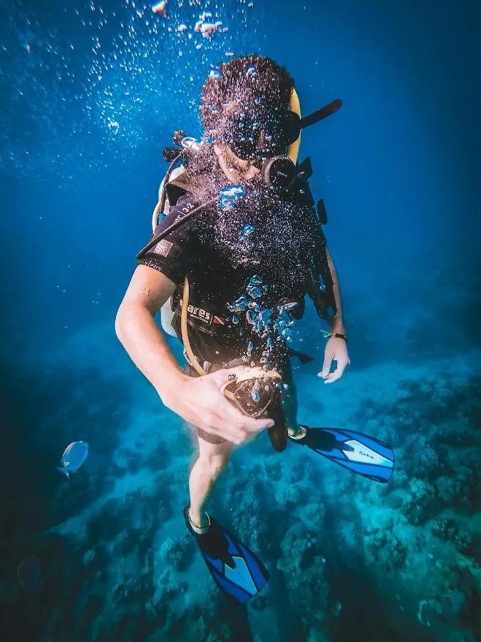 Dpm Koh Tao Diving Hotel & Bar