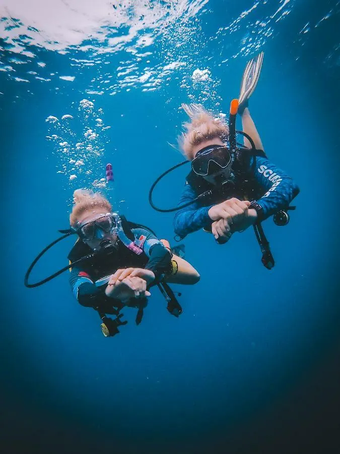 Dpm Koh Tao Diving Hotel & Bar Penzion